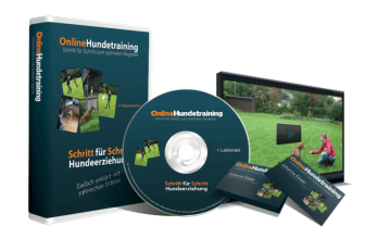 Online Hundetraining
